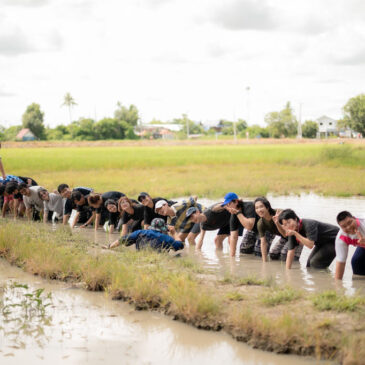 สะพายกล้องท่องผืนนา