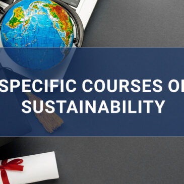 17.4.2 Education for SDGs: specific courses on sustainability