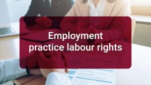8.2.9 Employment practice labour rights