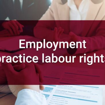 8.2.9 Employment practice labour rights