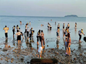 ความสำคัญต่อระบบนิเวศทางทะเล