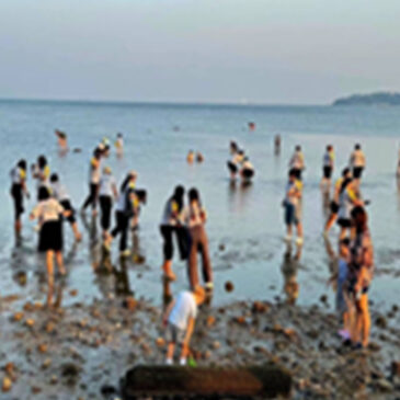 ความสำคัญต่อระบบนิเวศทางทะเล